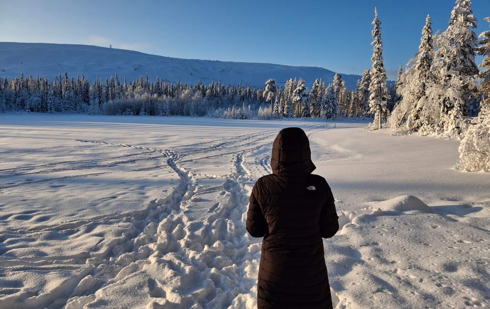 Winterlandschaft in Lappland