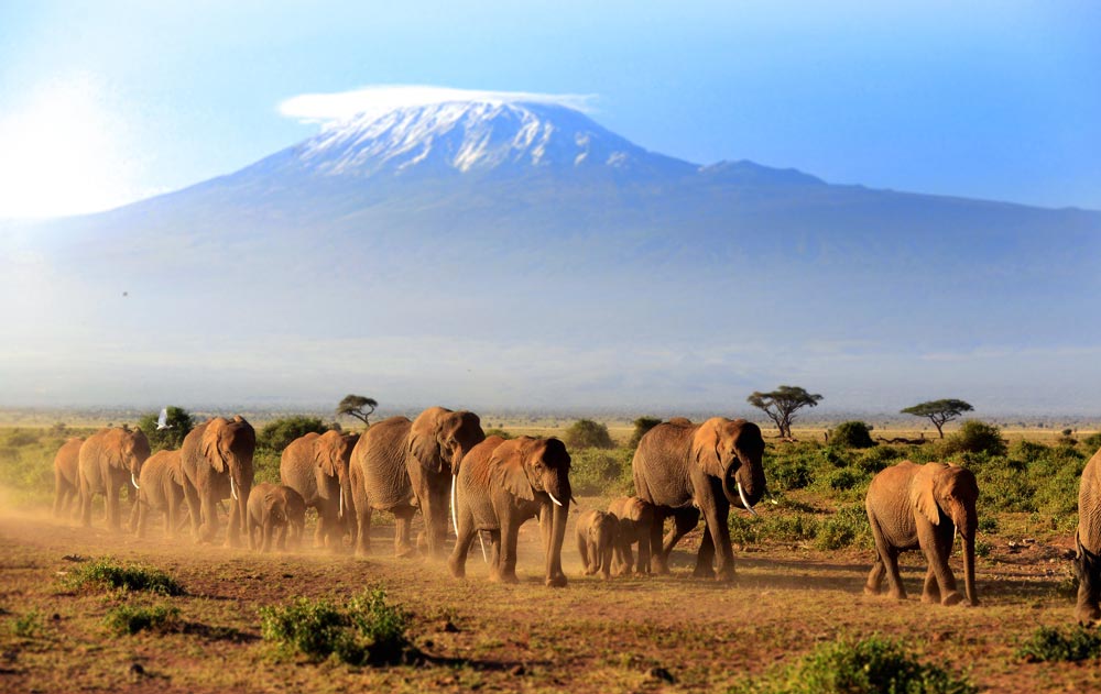 Afrika