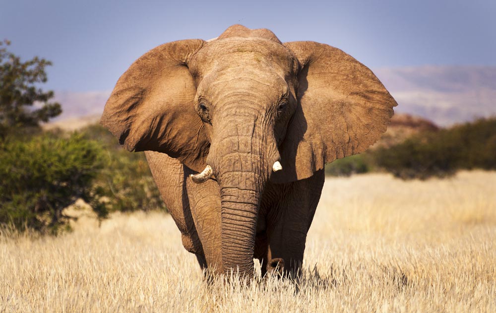 Namibia