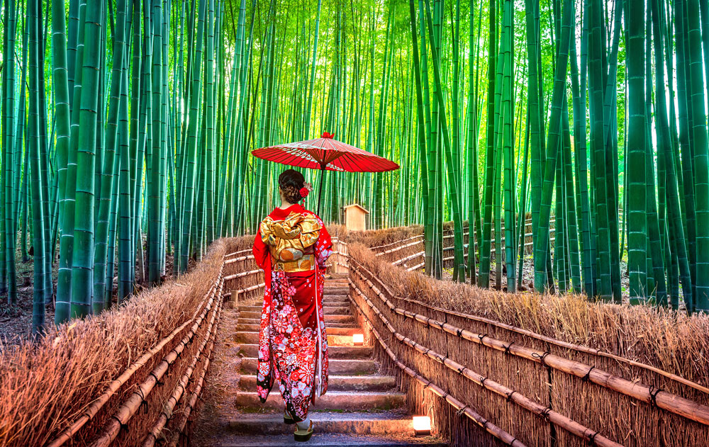 Kyoto & Nara