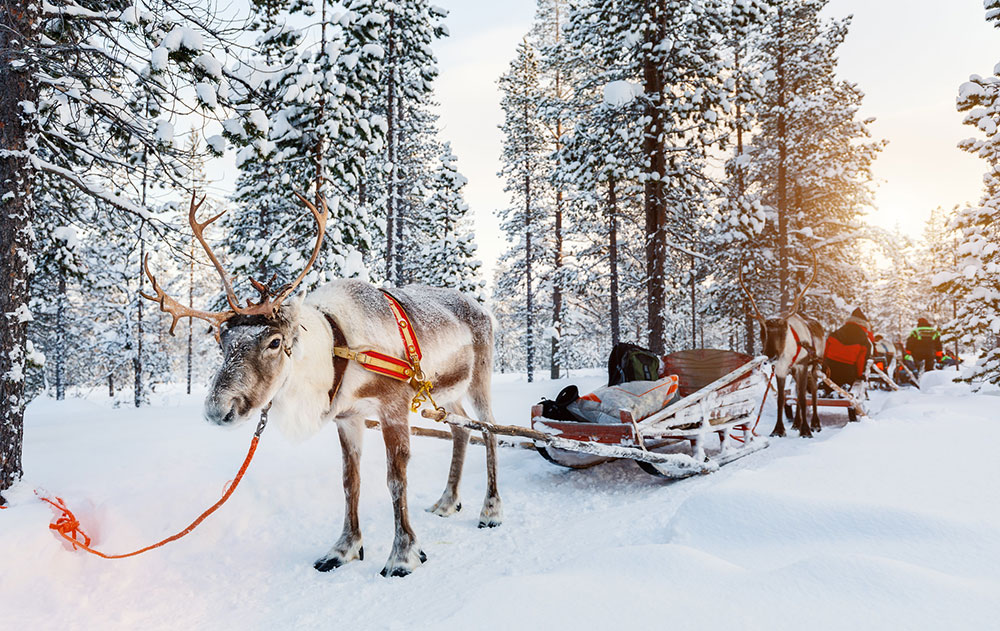 Lappland Winter-Erlebniswoche