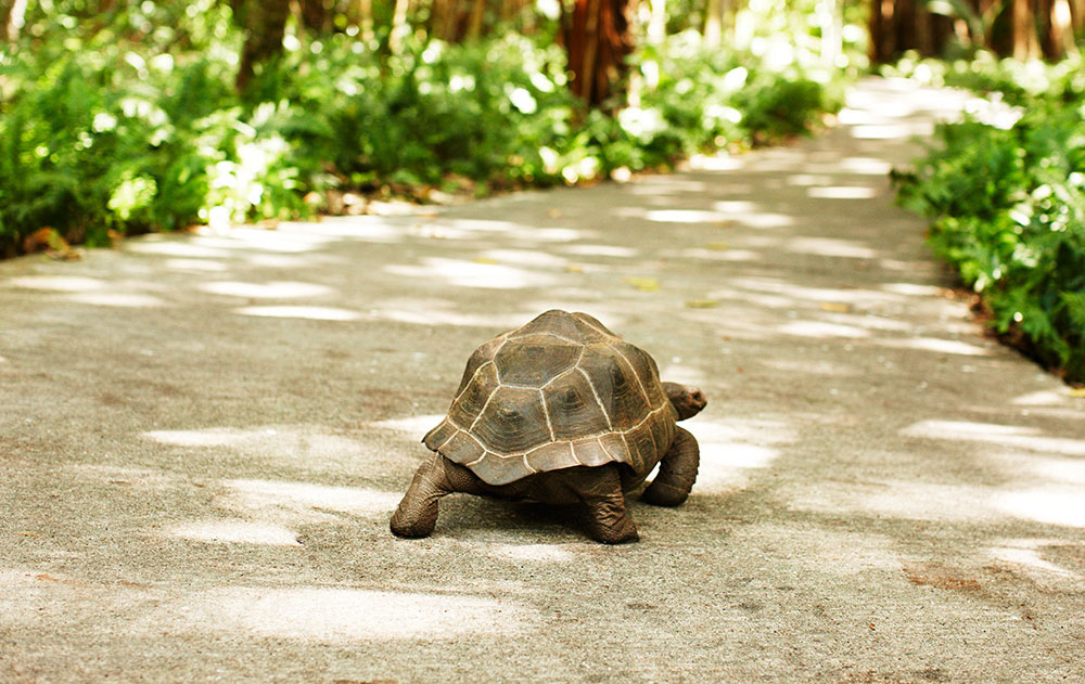 Seychellen