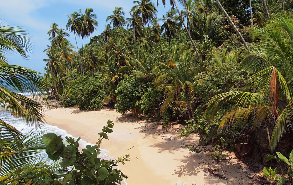 Bahamas