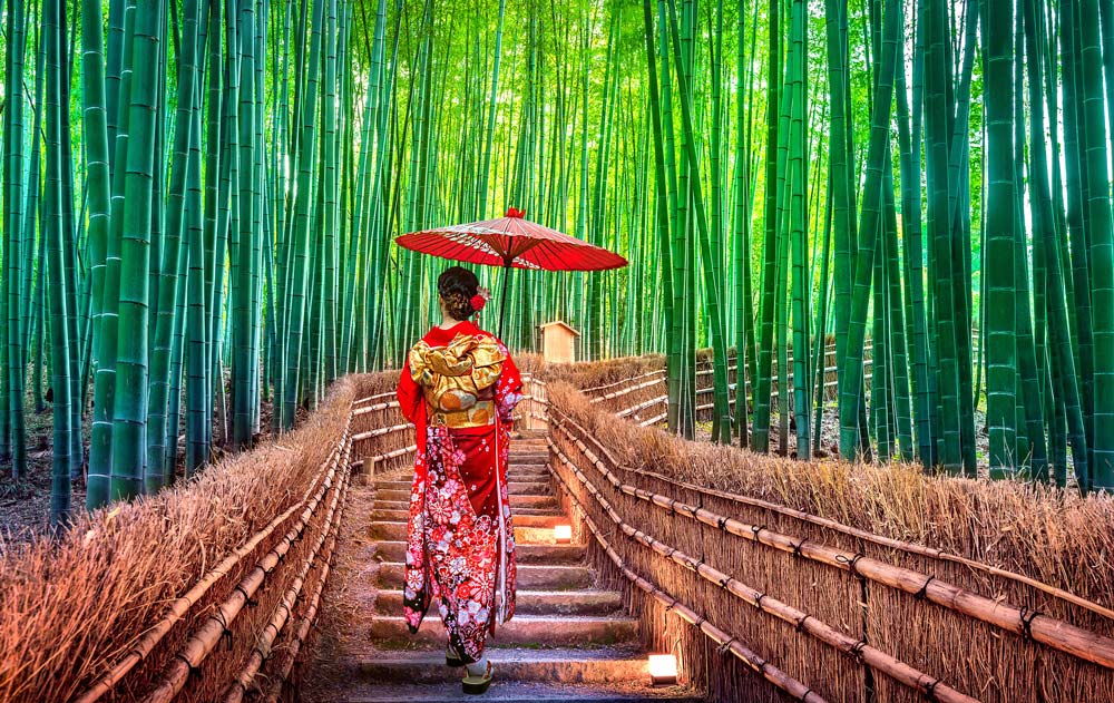 Frau in traditioneller japanischer Kleidung im Bambuswald in Kyoto