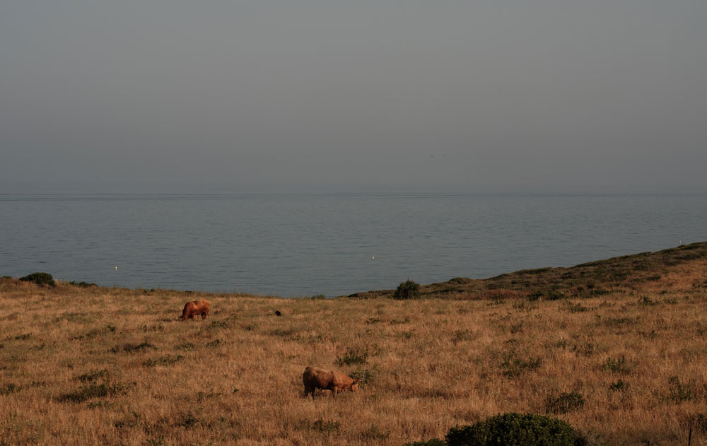 Landschaft im Hotel OKU Andalusia