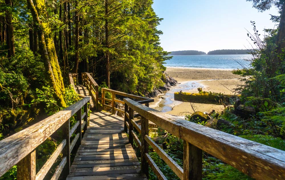 Waldweg führt zum Strand auf Vancovuer Island