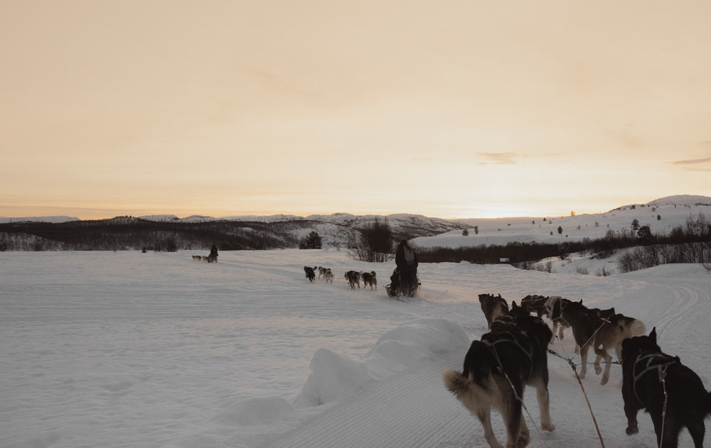 Zwei Huskyschlitten in der verschneiten Landschaft in Norwegen