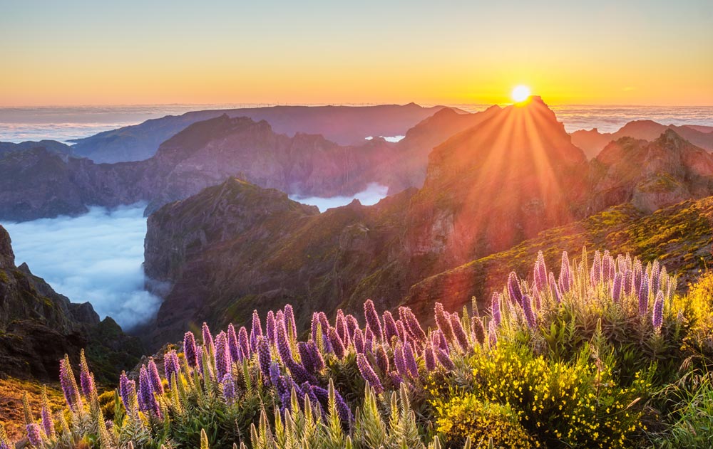 Berglandschaft in Madeira