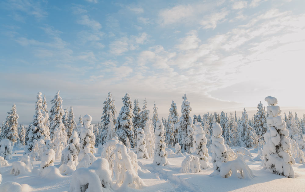 Lappland