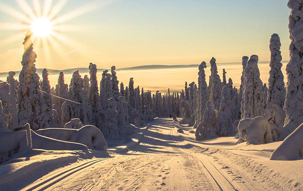 Winterlandschaft