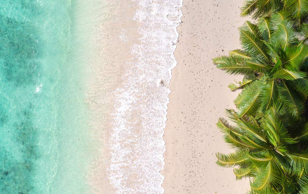 Luftaufnahme eines Strandes auf den Seychellen