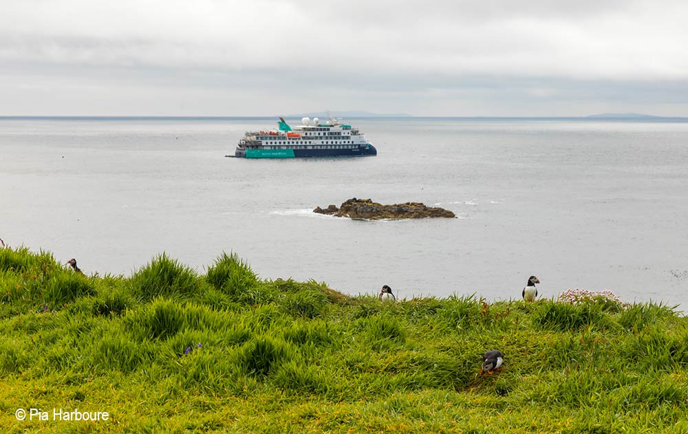 The Sylvia Earle Kreuzfahrtschiff in Schottland