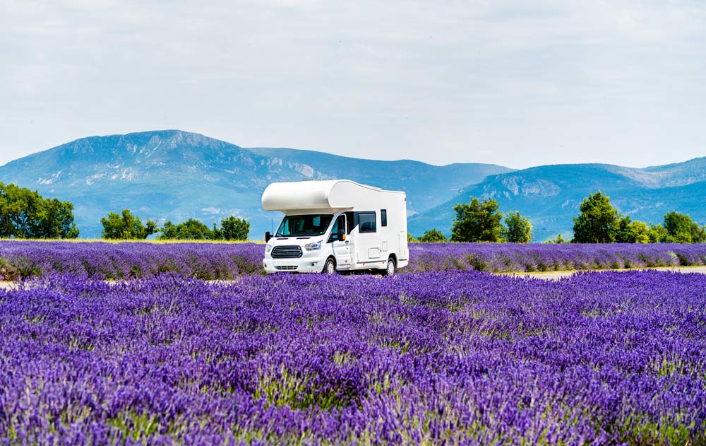 Camper fährt durch ein Lavendelfeld