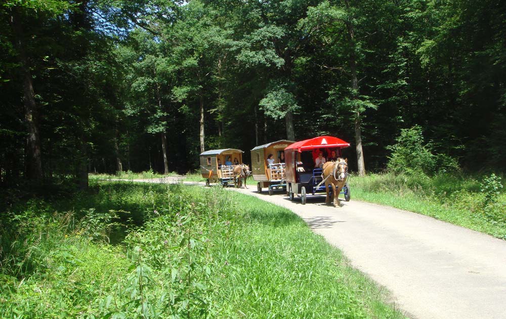 Pferdewagen