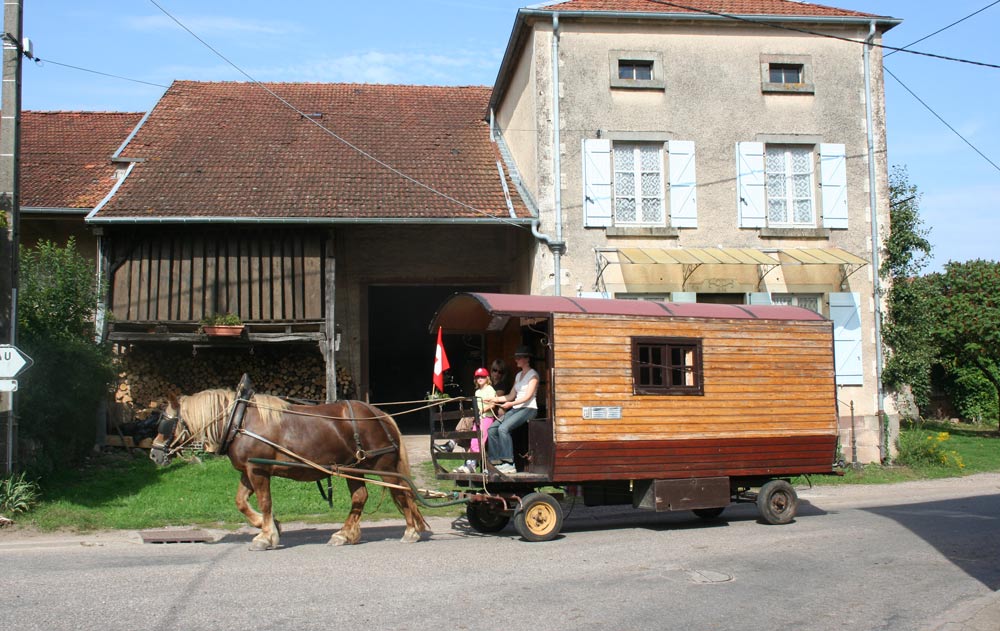 Pferdewagen Bois