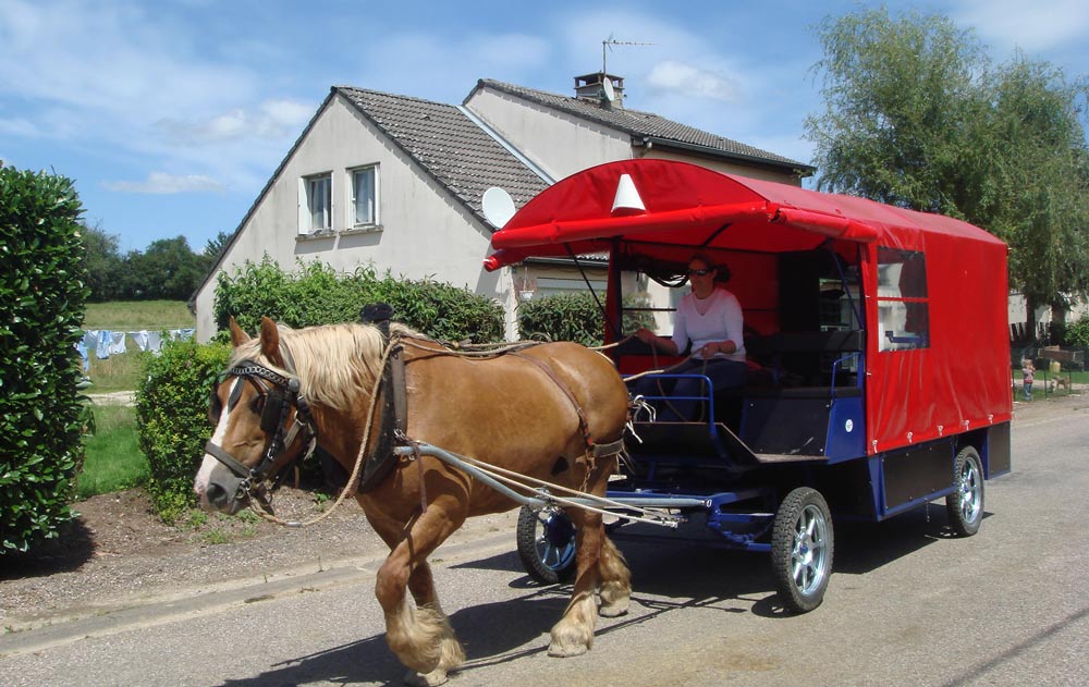 Pferdewagen Rouge