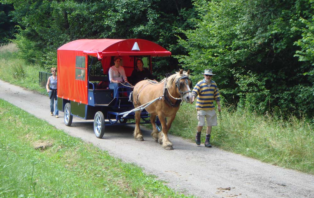 Pferdewagen