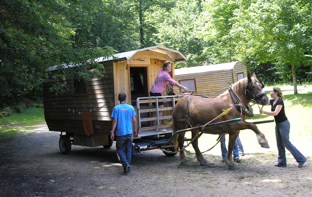 Pferdewagen