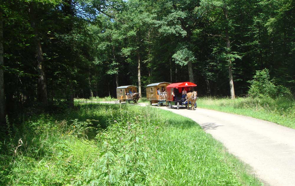 Pferdewagen