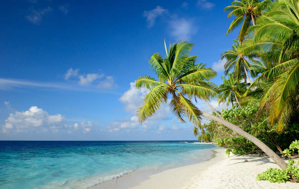 Ein weisser Sandstrand und türkisfarbenes Meer